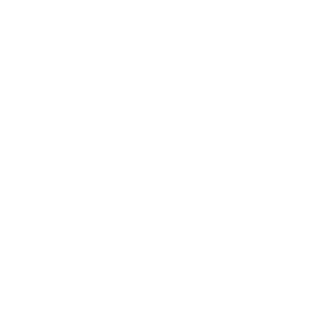 Logo partenaire Nestor Martin